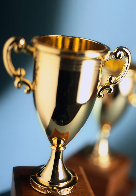 Hangzhou Lizhong Shengteng অটোমোটিভ যন্ত্রাংশ কোং, লি.